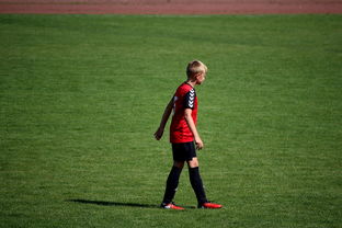 九游下载电脑版官网-勇士训练时长延长球员投入度高，勇士训练短袖